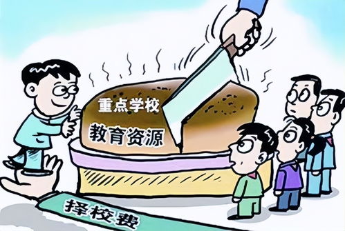 初一学生超前学习现象引关注，家庭教育咨询服务助力家长科学引导